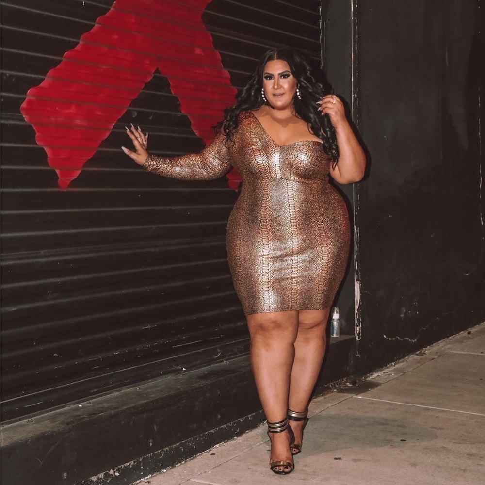 Fashion Nova Curve Dress
